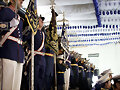 VIII Concierto Ciudad de Arahal Santa Cecilia