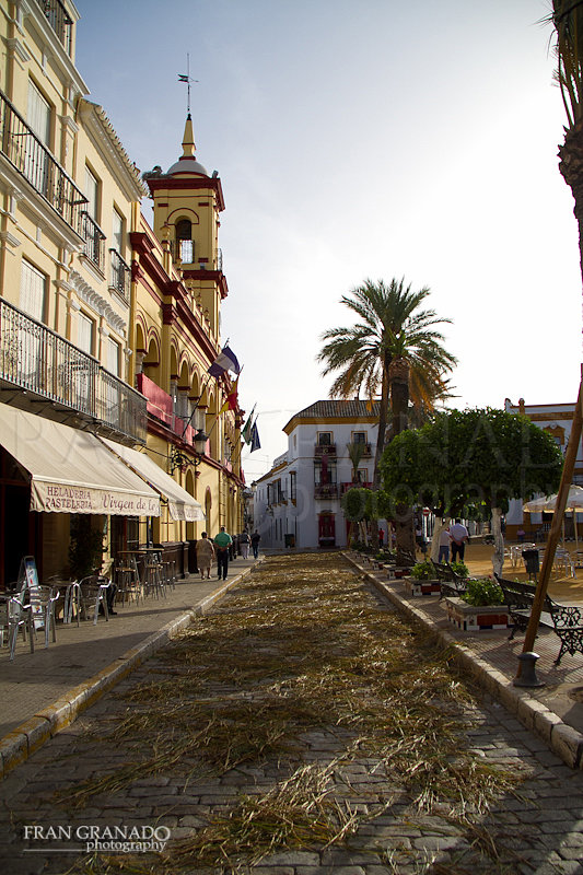 Altares Corpus Christi Arahal 2015