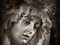Besamanos Virgen de la Piedad Vera Cruz 2010