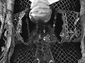 Septenario Hermandad Santo Entierro Arahal 2010