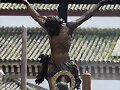 Cristo de la Hiniesta