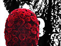 Rosas para mi paso!
