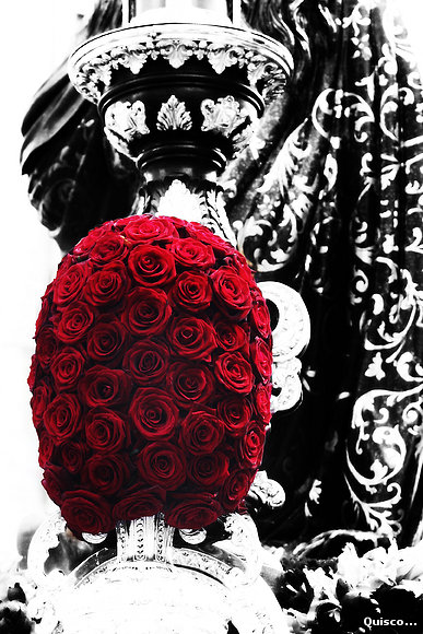 Rosas para mi paso!
