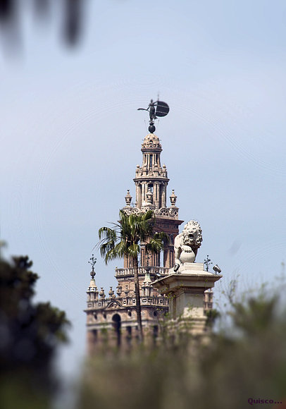 Giralda de Sevilla Domingo de Ramos 2009