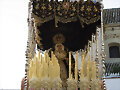 Virgen de los Dolores Hermandad de la Misericordia