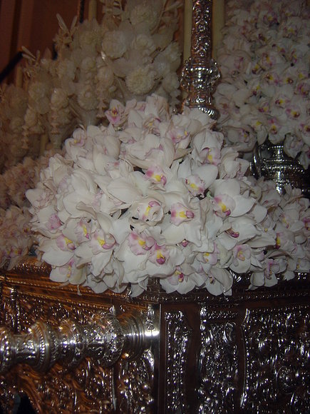 ORQUÍDEAS 2008