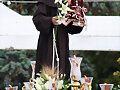 Fotos de Arahal d&iacute;a de San Antonio 2009