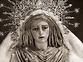 Mirada de Misericordia