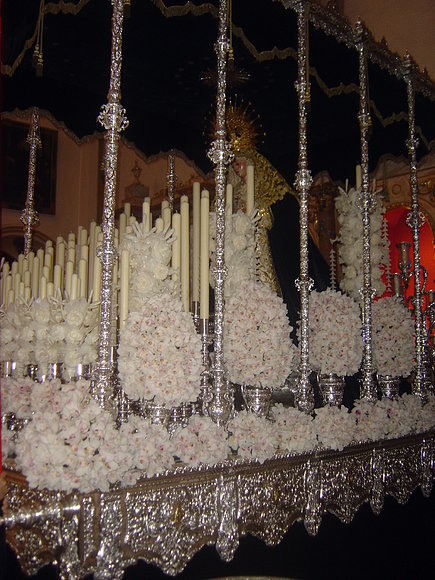 ORQUÍDEAS 2008-1