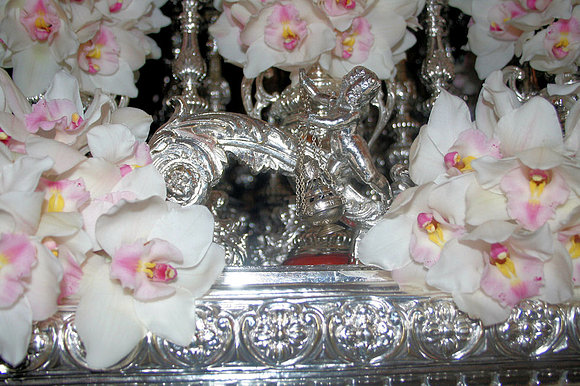ORQUÍDEAS 2008-2