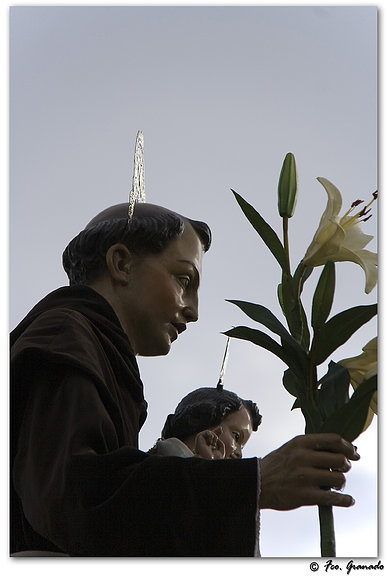 San Antono de Padua Arahal 2010