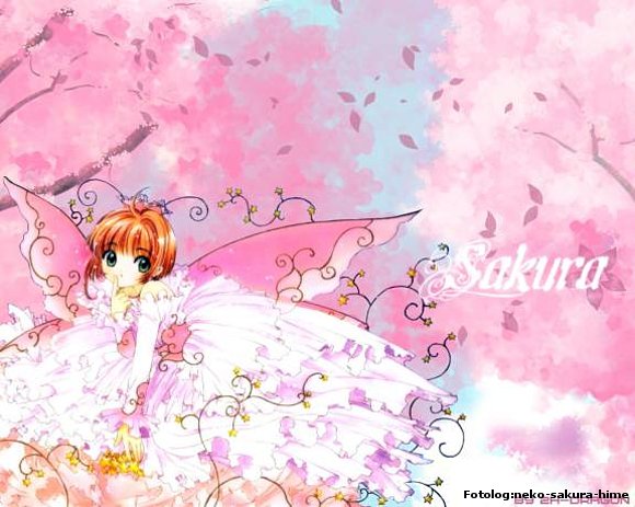 Sakura forever