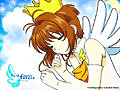 YO(Sakura)