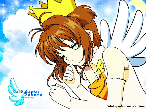 YO(Sakura)