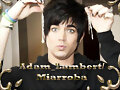 Adam Lambert
