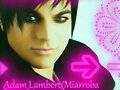 Adam Lambert