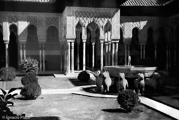 Patio de los leones