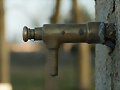 Fuente