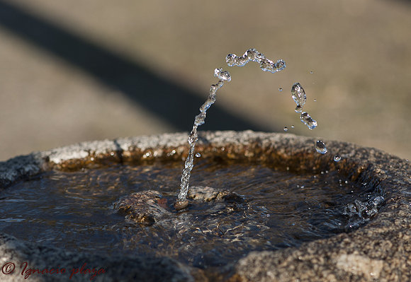 Fuente