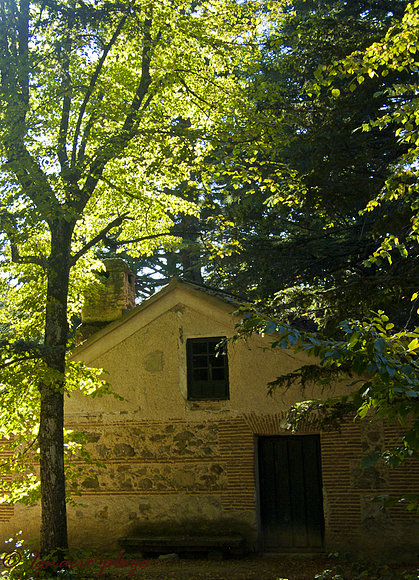 La casa del Bosque
