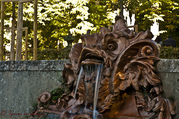 Fuente de la selva