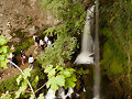 Cascada de agua