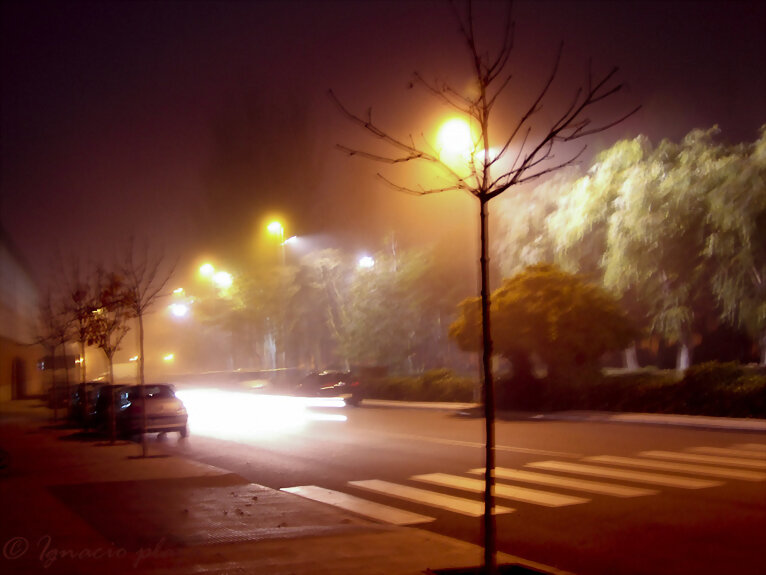 Niebla
