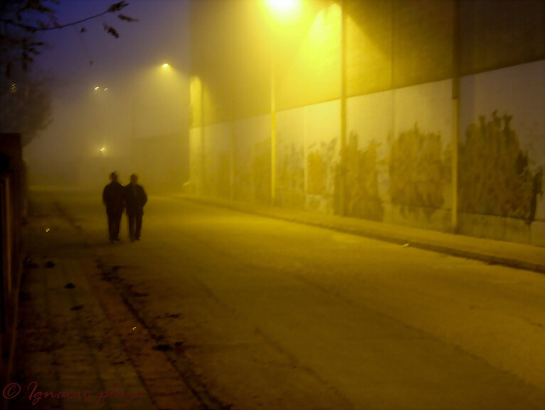 Niebla en las sombras