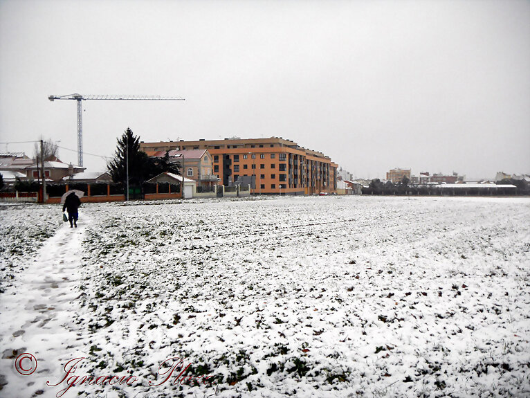 Llego la nieve