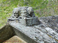 Detalle