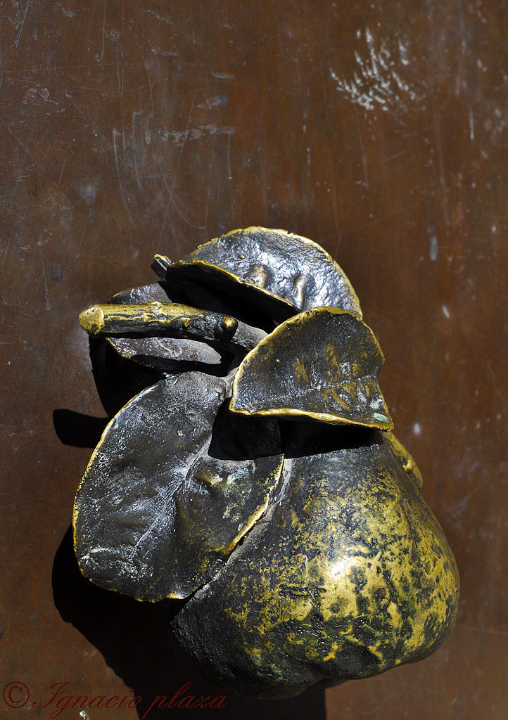 Pomo