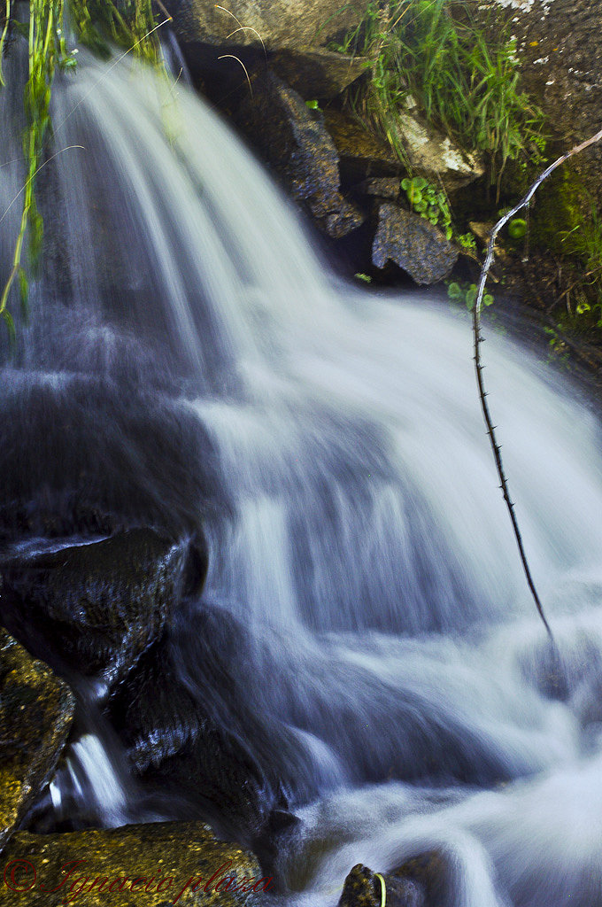 Cascada