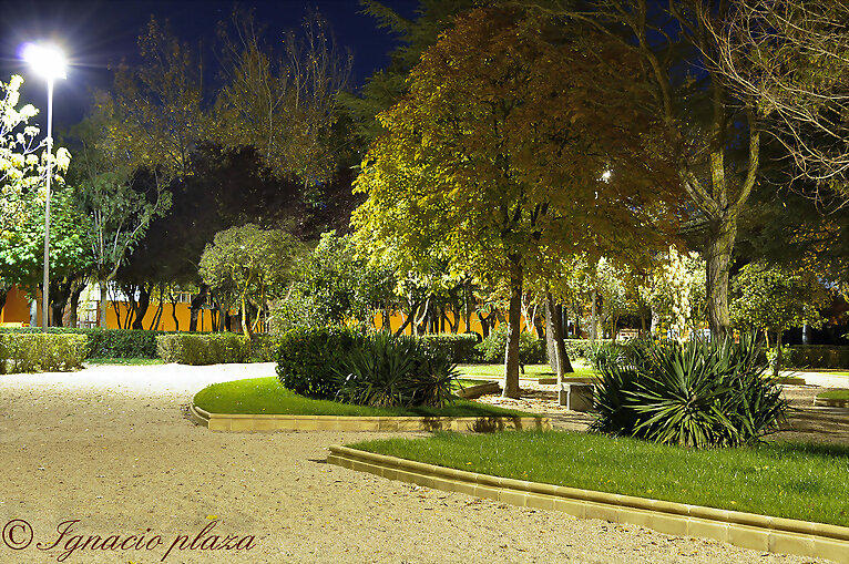 Nocturnas