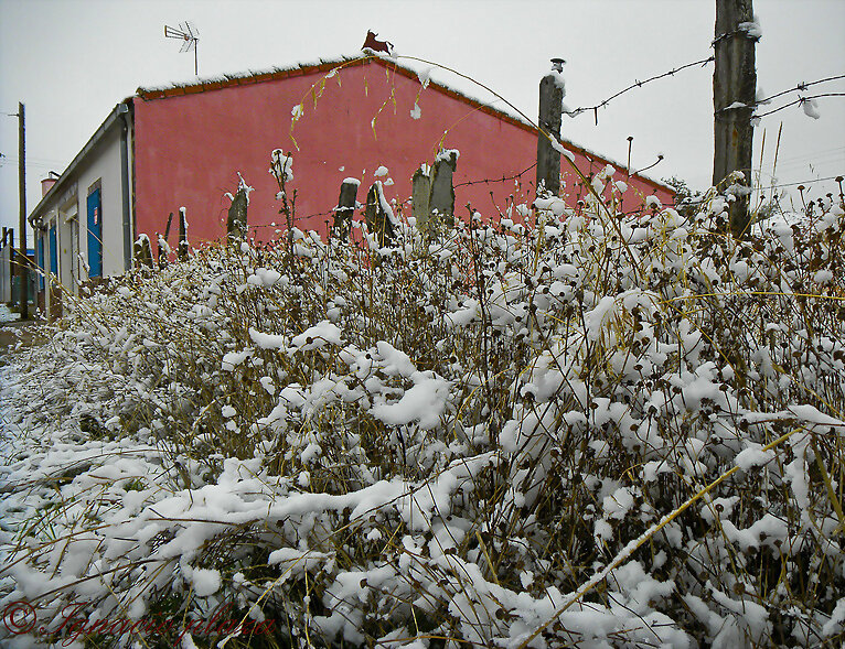 Llego la nieve