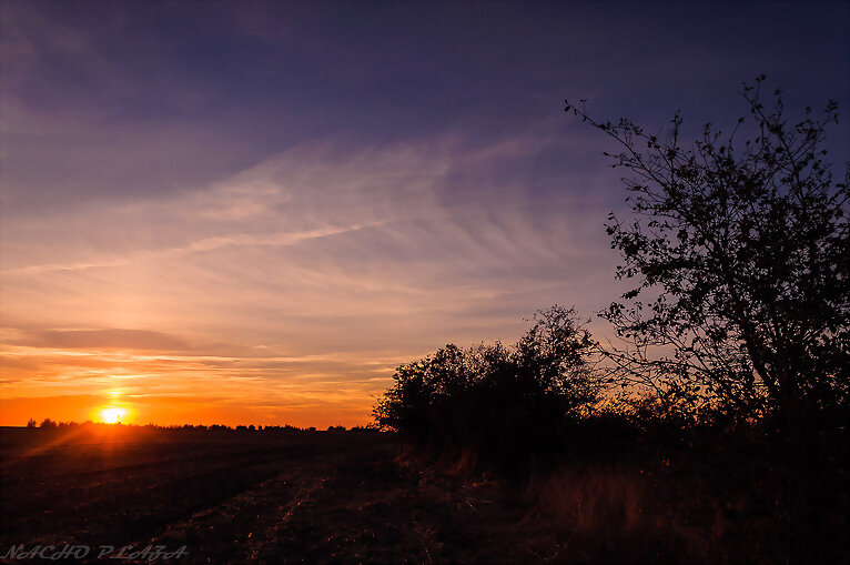 Atardecer en Peñaranda de Bracamonte