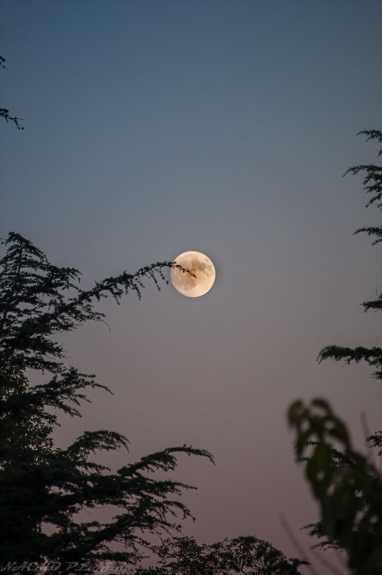 solo la luna y yo