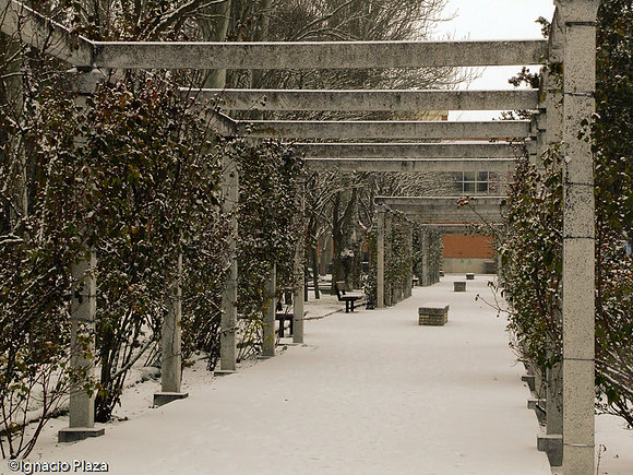Los jardines