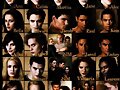 Collage de los personajes de New moon