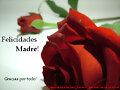 Feliz d&iacute;a de la madre