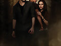 the twilight saga new moon