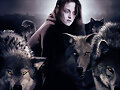 The twilight saga new moon