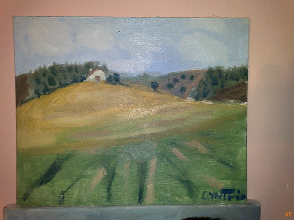 casa encima de la pradera