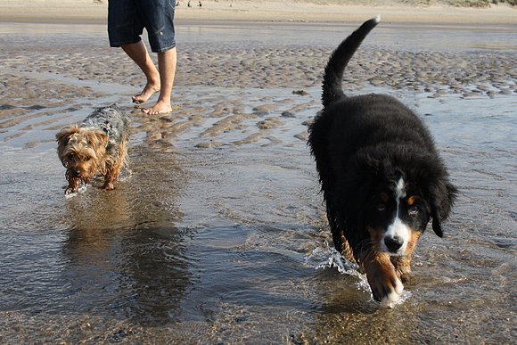 Otro día de playa - 3 meses