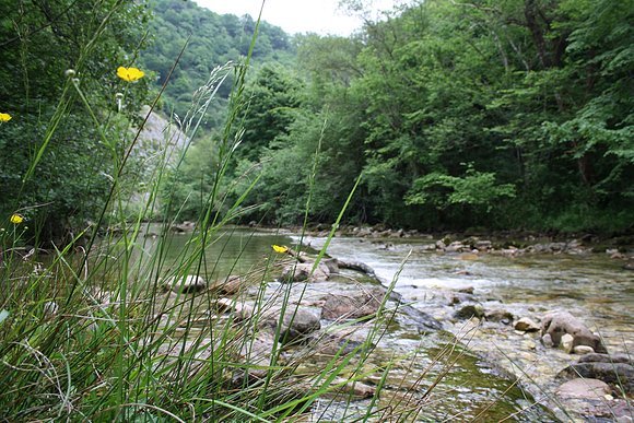 RIO DOBRA