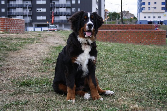6 meses
