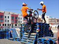 TRIAL    LA  ALCUDIA
