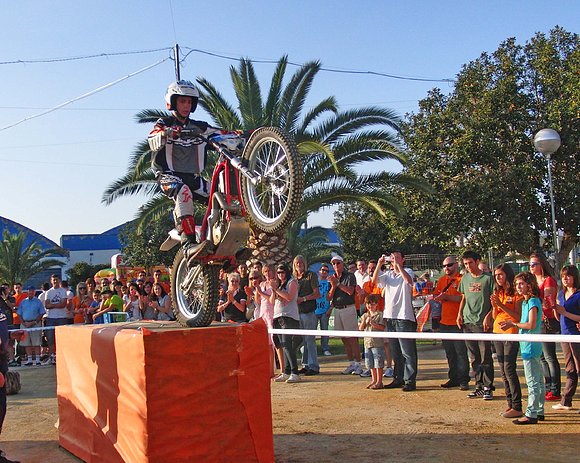 Fiesta  Skynetlink