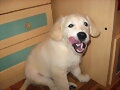UMMMM!!DE RECHUPETEEE!!!!