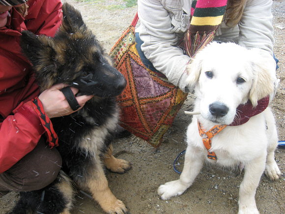 Sirius y Casper!!!