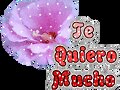 ESPERO QUE LES GUSTE LA FOTITO!!